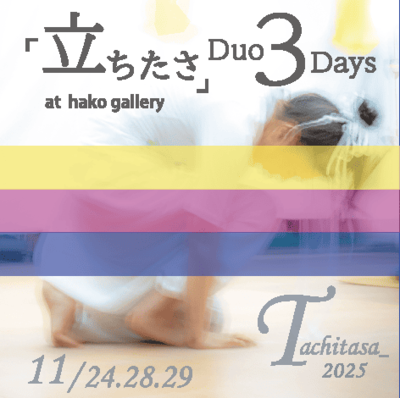 4 cm square pin badge: a color photograph of Ihoda in action, overlaid with a color band