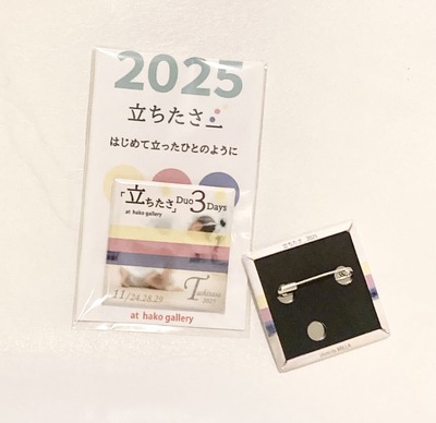 Plastic package: a backing card with printed text and a badge